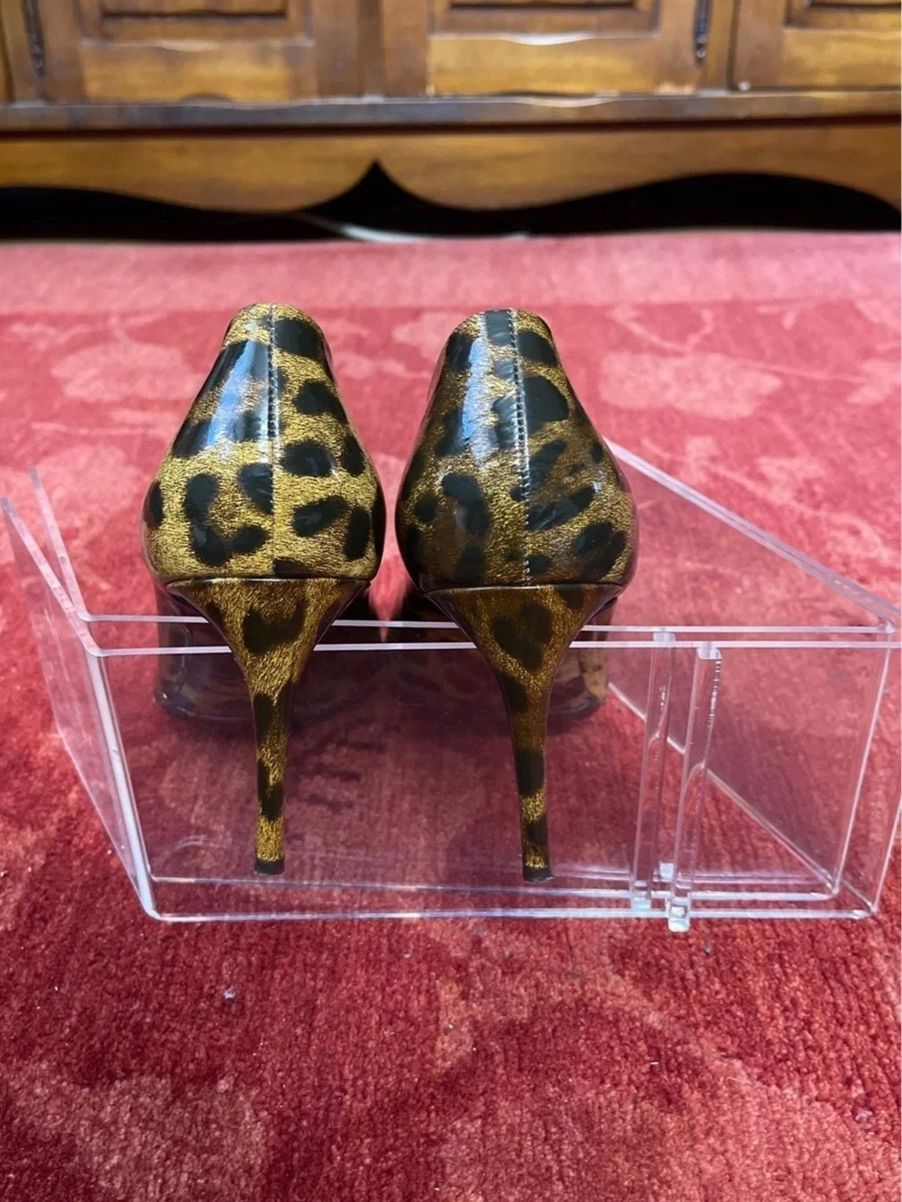 Dolce & Gabbana stylish leopard